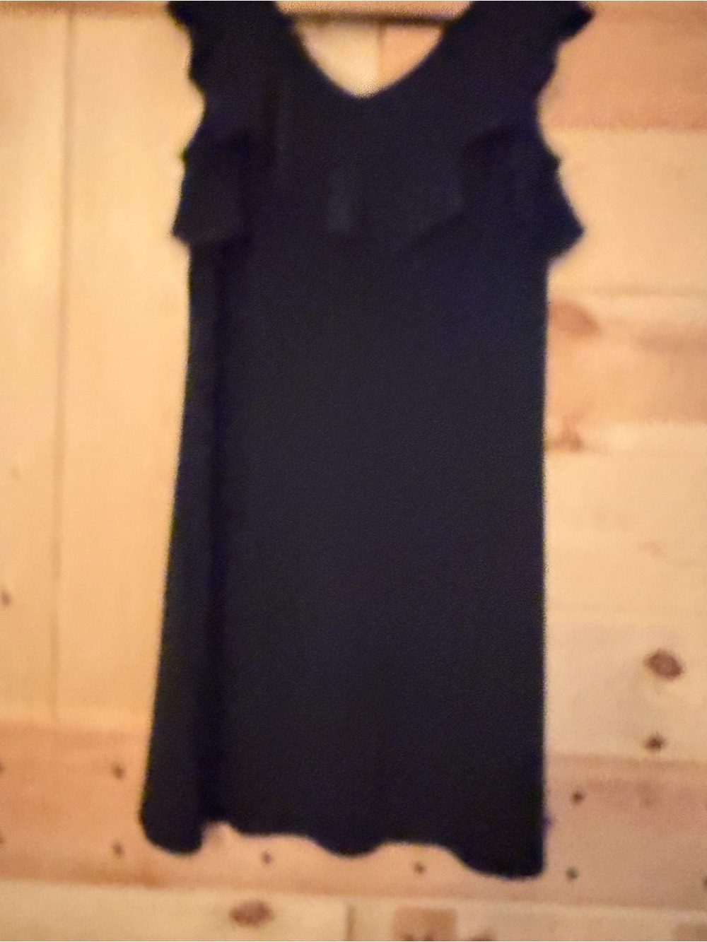 Roz & Ali Black Ruffle Sleeve Mini Dress